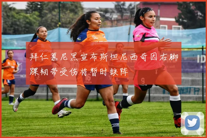 拜仁慕尼黑宣布斯坦尼西奇因右脚踝韧带受伤将暂时缺阵