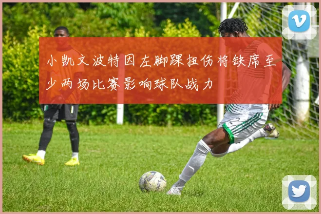 小凯文波特因左脚踝扭伤将缺席至少两场比赛影响球队战力
