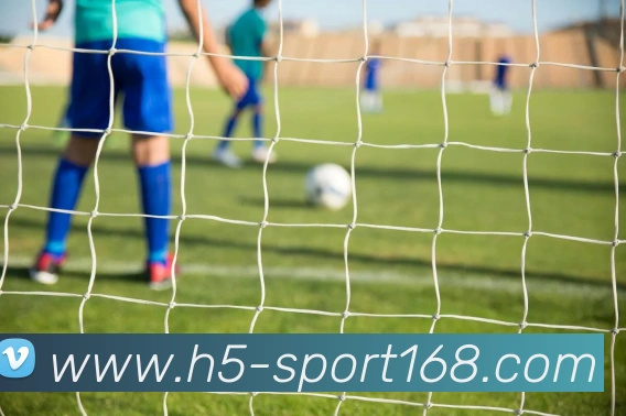 168体育平台生态图